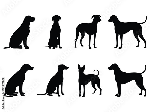 Silhouettes of various dog breeds are displayed against a white background.