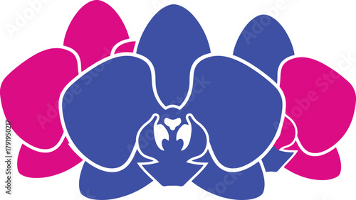 Abstract orchid flowers in pink and blue representing bisexual pride