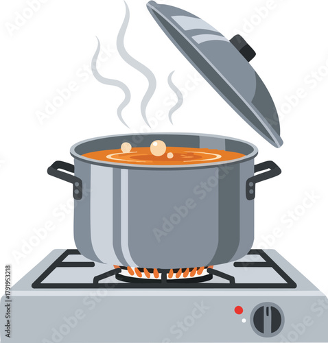 Boiling Pot on Stove Cooking Food Preparation and Culinary Art