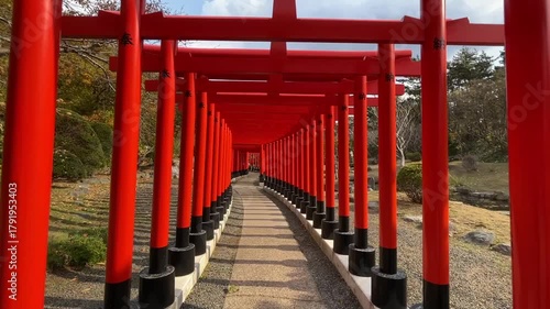 高山稲荷神社11月：千本鳥居の動画 2025/11/7