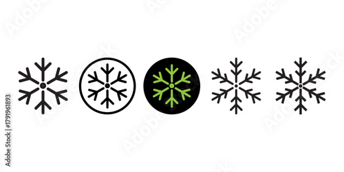 Set of Five Snowflake Icons in Various Styles for Freeze Cold and Winter Design Elements