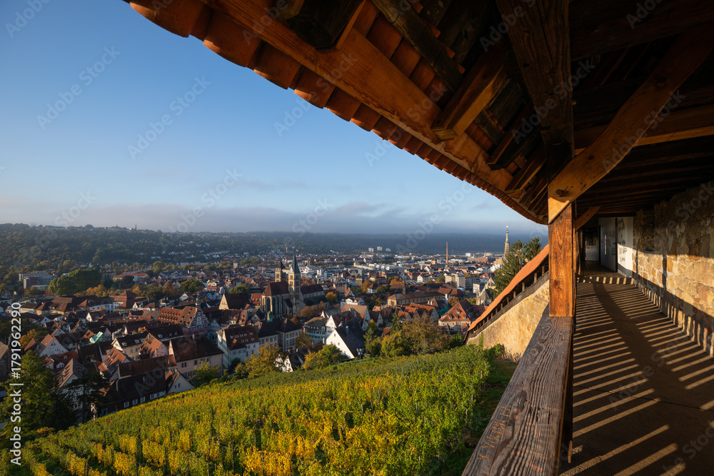 Fototapeta premium Aussicht von der Esslinger Burg auf die Altstadt im goldenen Morgenlicht Esslingen Baden-Württemberg Deutschland