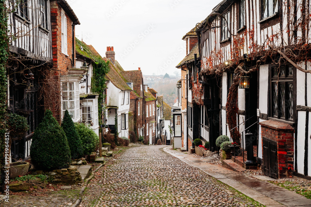 Fototapeta premium A beautiful cobbled street in the historic town of Rye in East Sussex