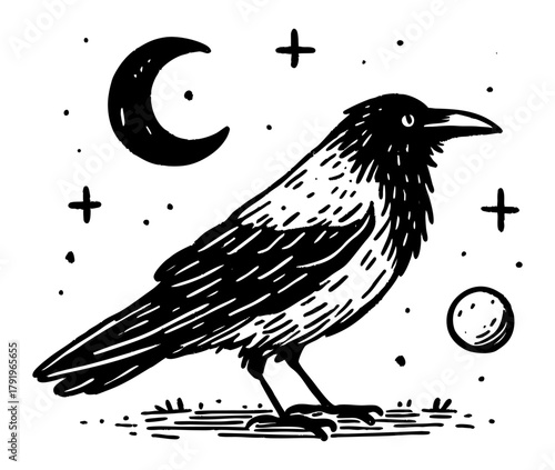 crow raven bird - gothic bird illustration