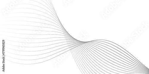 Elegant abstract background with a dynamic wave of smooth, flowing grey lines on a clean white canvas.