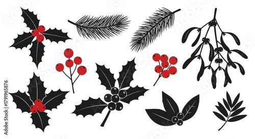 Collection of festive christmas botanical elements including holly mistletoe pine branches and berries