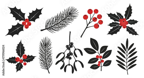 Collection of hand drawn christmas botanical elements including holly pine branches berries and mistletoe