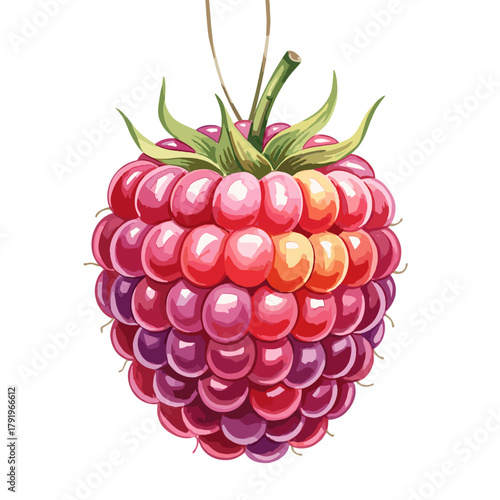 Vibrant watercolor illustration of a ripe red raspberry with green leaves, isolated on a transparent background, showcasing fresh and natural fruit art