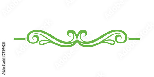 Elegant decorative swirl flourishes. leaf scroll text delimiter classic illustration isolated on white