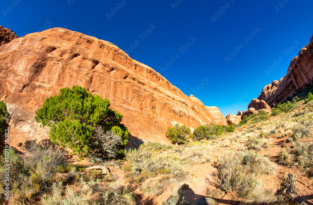 Fototapeta premium Panoramic view of Arches National Park Utah showcasing red rocks and desert terrain in summer