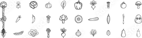 Vegetable icon set. Vector line illustration design.