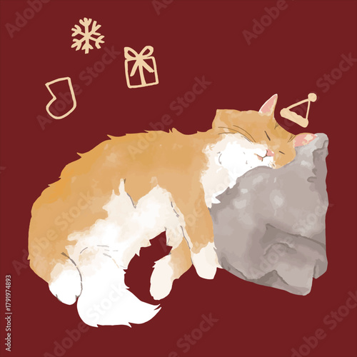 Fluffy Cat Days – Orange Siberian Cat