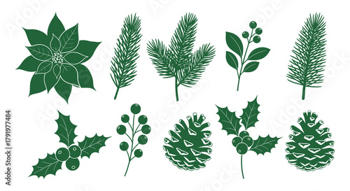 Collection of elegant green christmas botanical elements including poinsettia pine holly and berries