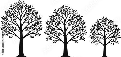 Set of three stylized black tree silhouettes with full foliage and visible branches, isolated on a clean white background.