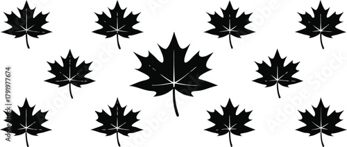 Black maple leaf silhouettes pattern on a clean white background, iconic symbol of autumn season and canadian identity graphic
