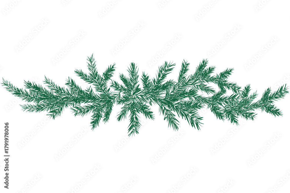 Obraz premium christmas tree branches isolated.