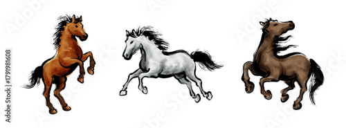 馬の筆書き墨絵ベクターカラーイラスト