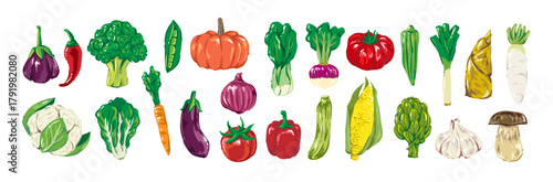 Vegetables in Hand-drawn style set, fresh vegetables vector collection, healthy food illustration for design menu, banner, label, packaging, branding, advertising, posters
