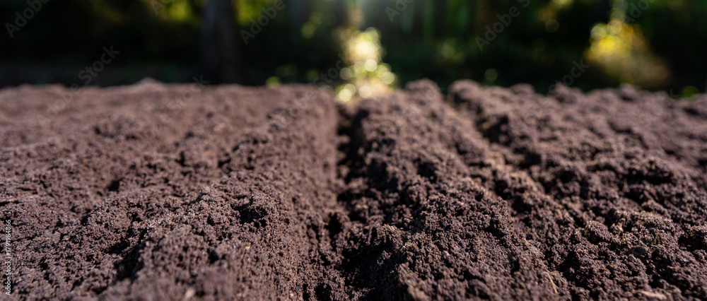 Naklejka premium Closeup of dirt and clay in farm field. Soil for planting. Cultivated land. Fertile soil with compost. Soil background.