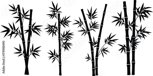 Bamboo plant silhouette set isolated on white background, tropical bamboo stems and leaves, black vector illustration for design