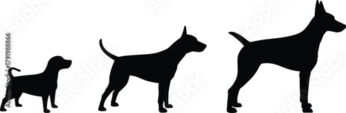 Dog silhouette vector set, small to large size comparison, growth stages, black canine shapes, cad drawing flat vector illustration