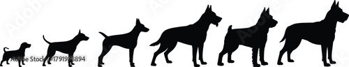 Dog silhouette vector set, puppy to adult growth stages, black animal shapes, cad drawing flat vector illustration, white background design