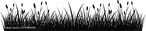 Grass silhouette border with wild reeds and cattails isolated on white background, natural black meadow vector illustration design