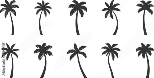 Palm tree silhouette vector set, tropical island icons, black foliage shapes, beach nature design, cad drawing flat vector illustration