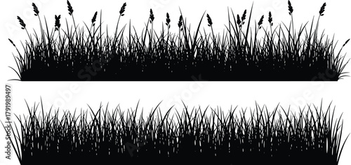Realistic grass silhouette border set isolated on white background, wild meadow, natural lawn edge, black vector illustration