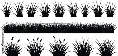 Set of black grass silhouette collection isolated on white background, natural lawn border, outdoor foliage, cad drawing flat vector illustration