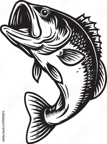 largemouth bass jumping with mouth open on white background fish leaping