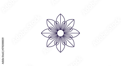 Symmetrical floral design with geometric shapes, creating a captivating visual harmony for