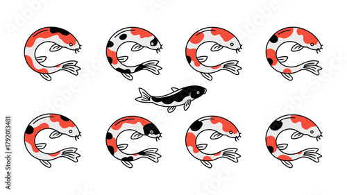 Stylized traditional japanese koi fish vector illustration set in various swimming poses on a clean background, symbolizing peace and prosperity
