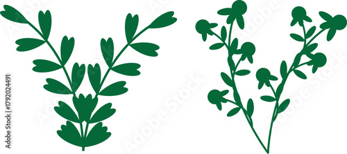 Vector illustration of green grass, floral pattern, and fresh spring leaves, a design element for nature and summer decoration