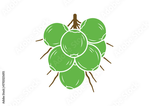 hanging coconut logo vector icon design illustration template