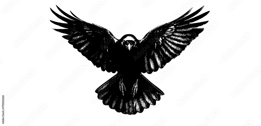 Fototapeta premium a black and white drawing of a raven in flight, showcasing its wings spread widebeak, bird, black, crow, eagle, flap, flight, fly, raven, sky, spread, white, wing 