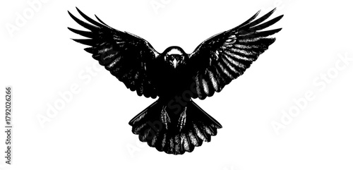 a black and white drawing of a raven in flight, showcasing its wings spread widebeak, bird, black, crow, eagle, flap, flight, fly, raven, sky, spread, white, wing 