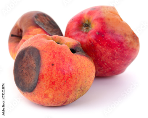 Rotten apples isolated on white background