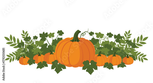 Charming pumpkin patch illustration with vibrant orange gourds and lush green foliage, perfect for autumn themed designs and seasonal promotions