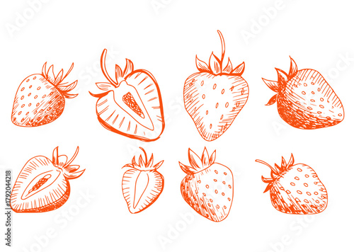 Orange strawberry sketches fruit food