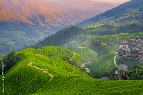 Yaoshan Mountain, Guilin, China hillside rice terraces landscape.