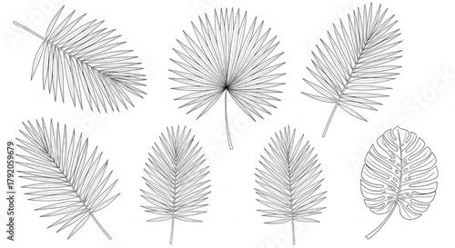 Palm Leaf Line Art Sheet, Minimalist Botanical Drawing, Elegant One Line Nature Illustration