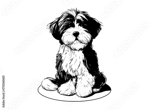 a black and white drawing of a dog sitting on a round surfaceblack, dog, floor, footstall, illustration, mat, sit, white 