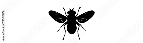 a black silhouette of a fly on a transparent backgroundant, black, bug, insect, profile, white, wing 