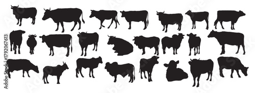 cow silhouette set
