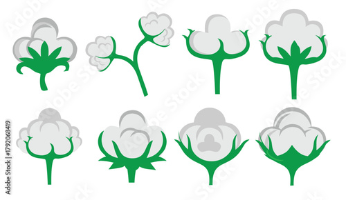  Cotton Flower vector illustration