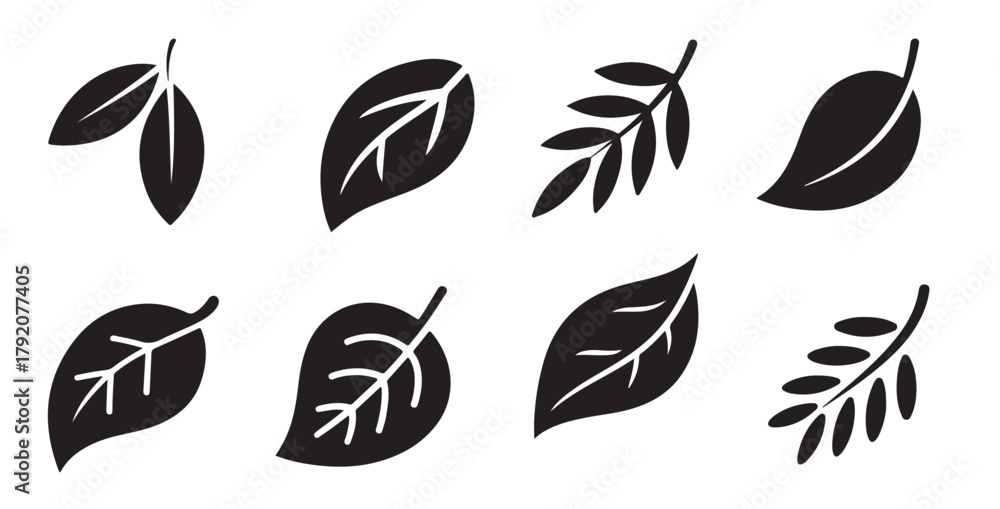 Fototapeta premium eight black and white traced leaf illustrations set simple