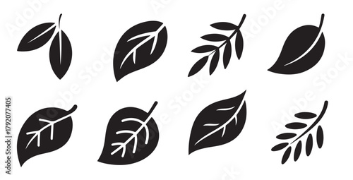 eight black and white traced leaf illustrations set simple
