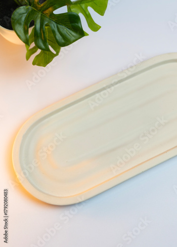 Oval ceramic white plate background with green leaves plat for mockup