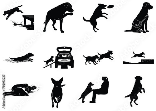 Assorted Dog Silhouettes in Outdoor Activities Keywords: dog, silhouette, animal, pet, canine